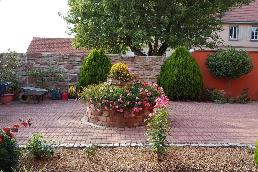 Le Gite 'Humulus' Bilwisheim Zewnętrze zdjęcie