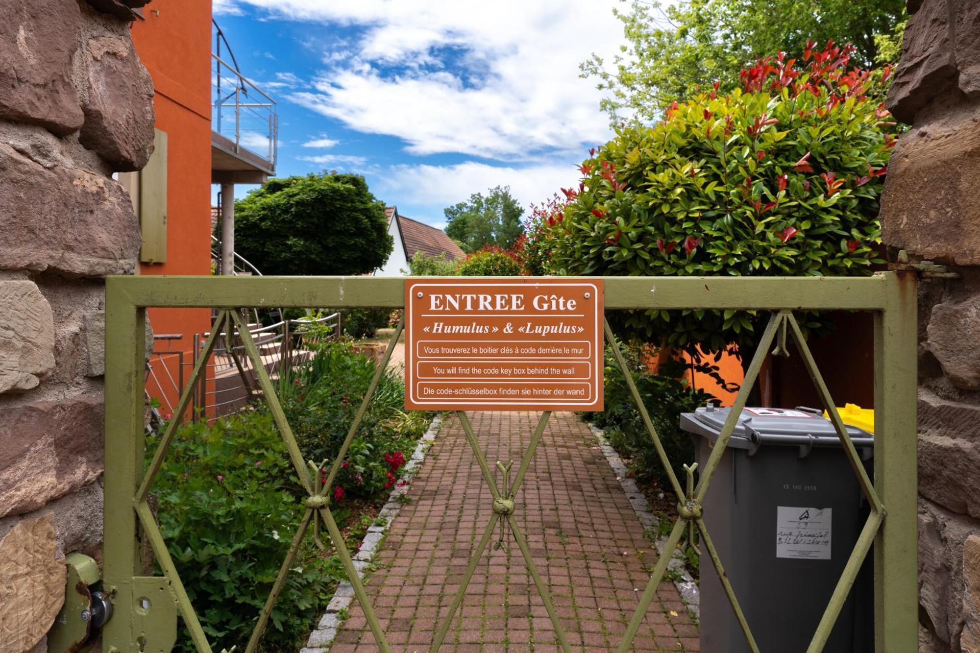 Le Gite 'Humulus' Bilwisheim Zewnętrze zdjęcie